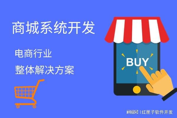 b2c電商平臺(tái)開(kāi)發(fā)